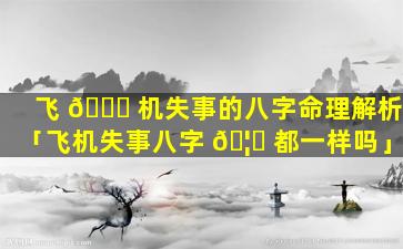 飞 🐝 机失事的八字命理解析「飞机失事八字 🦟 都一样吗」